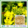 Bulk Natural Honey Rape Bee Pollen Tablet